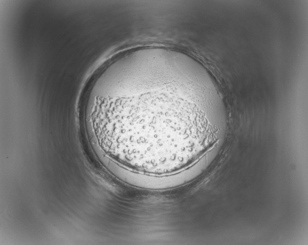 X0000068840246200606021716