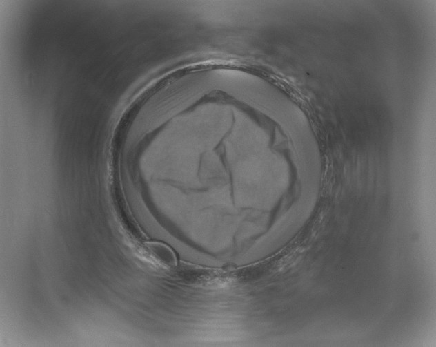 X0000068840247200606021716