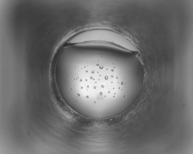 X0000068840248200606021716