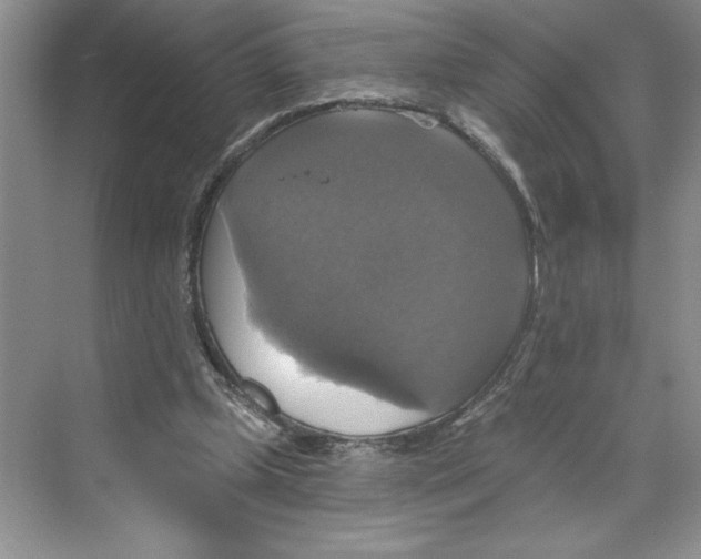 X0000068840249200606021716