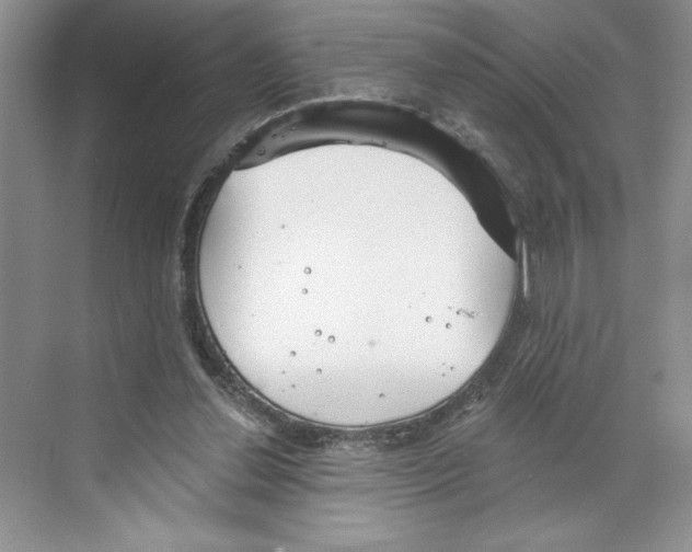 X0000068840252200606021716