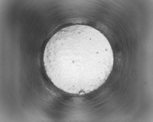 X0000068840255200606021716