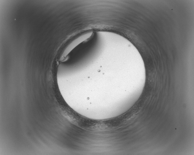 X0000068840256200606021716