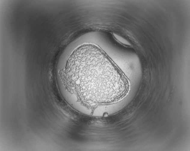 X0000068840259200606021716