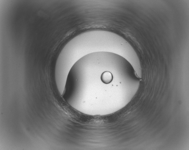 X0000068840260200606021716