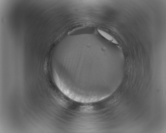 X0000068840266200606021716