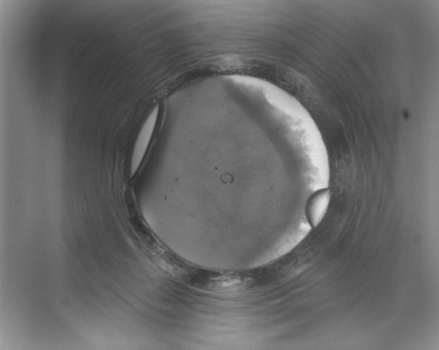 X0000068840267200606021716