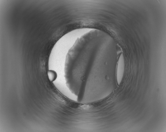 X0000068840269200606021716