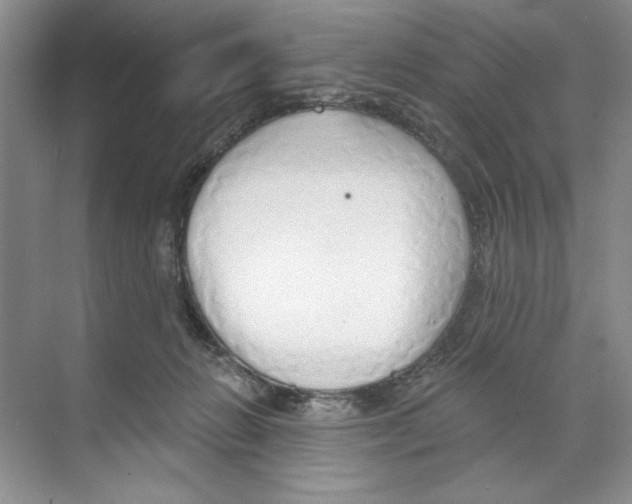 X0000068840270200606021716