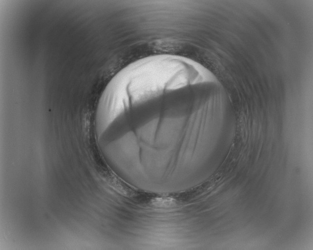 X0000068840271200606021716