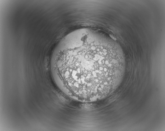 X0000068840273200606021716