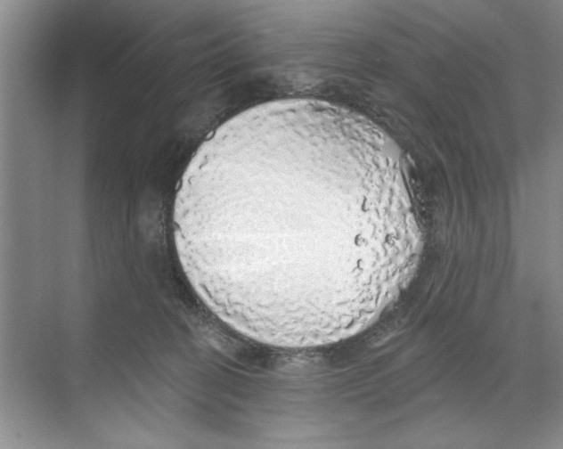 X0000068840274200606021716