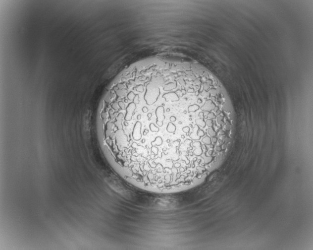 X0000068840275200606021716