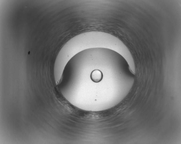 X0000068840276200606021716