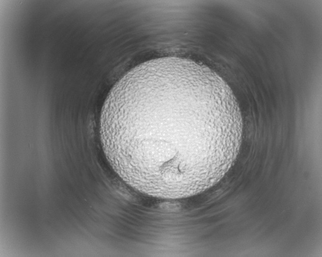 X0000068840279200606021717