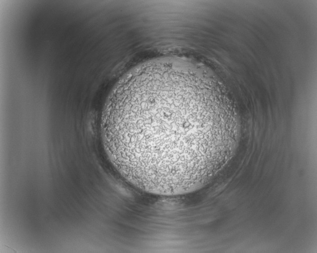 X0000068840280200606021717