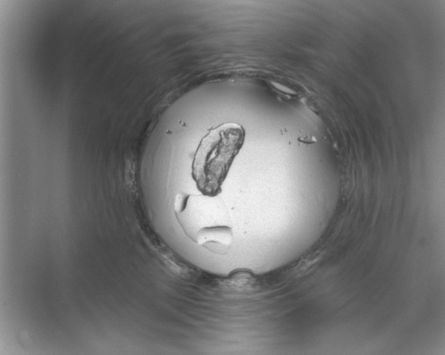 X0000068840281200606021717