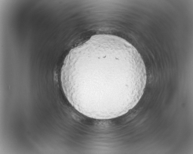 X0000068840282200606021717