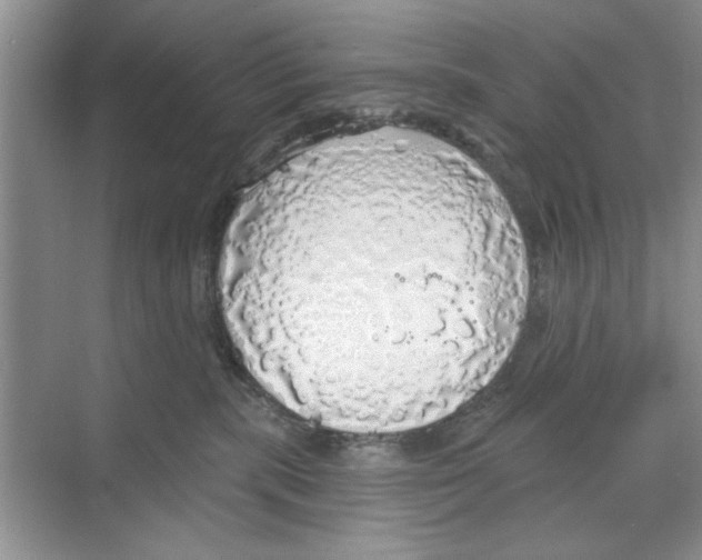 X0000068840283200606021717