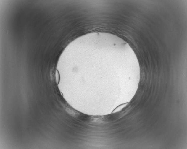 X0000068840285200606021717