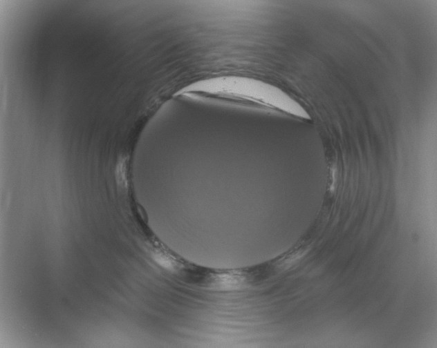 X0000068840286200606021717