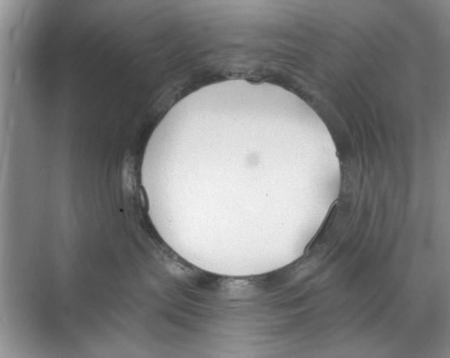 X0000068840287200606021717