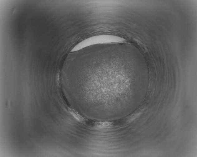 X0000068840288200606021717