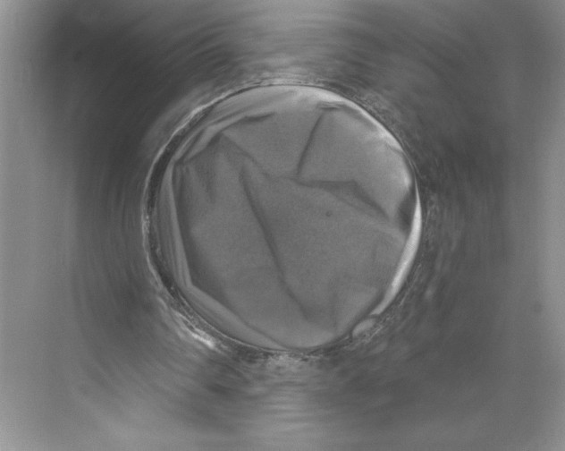 X0000068840290200606021716