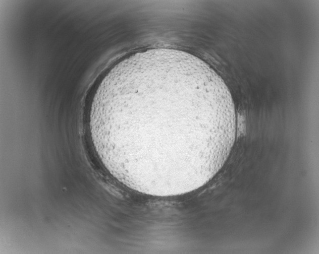 X0000068840291200606021716