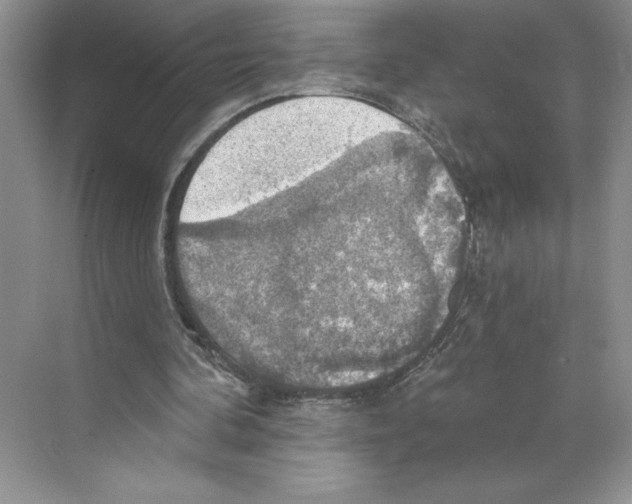 X0000068840292200606021716