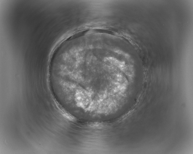 X0000068840293200606021716