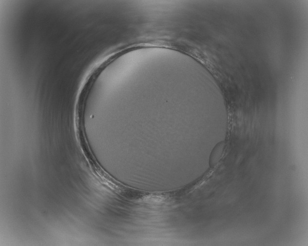 X0000068840294200606021716