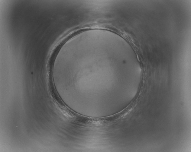 X0000068840295200606021716