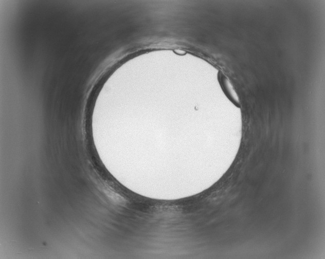 X0000068840296200606021716