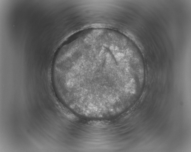 X0000068840297200606021716