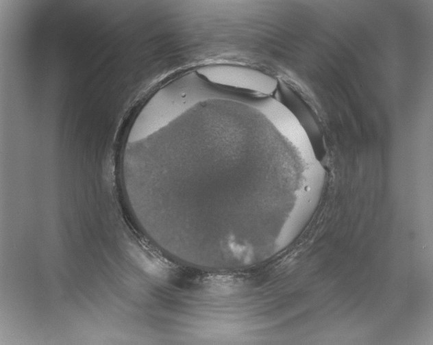 X0000068840298200606021716