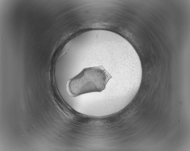 X0000068840299200606021716