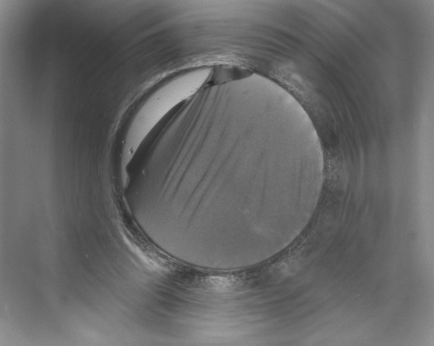 X0000068840302200606021716