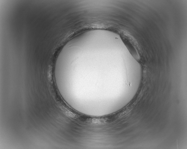 X0000068840305200606021716