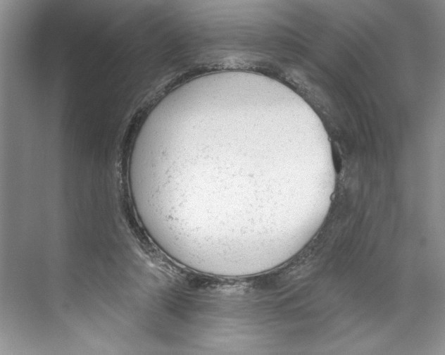 X0000068840306200606021716