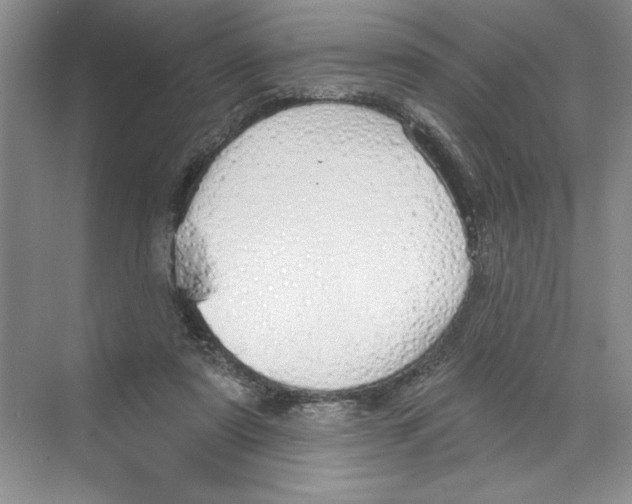 X0000068840307200606021716