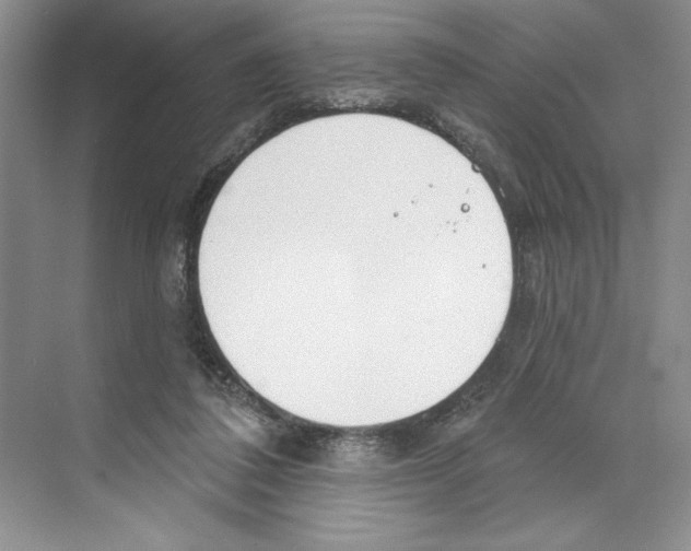 X0000068840308200606021716