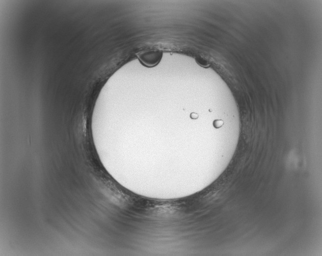 X0000068840310200606021716