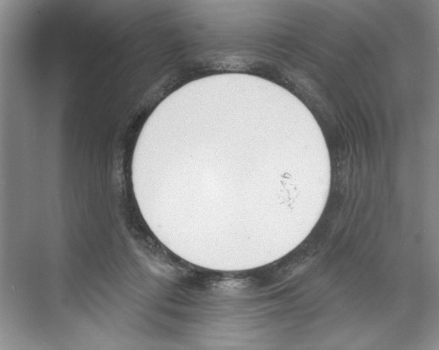 X0000068840312200606021715