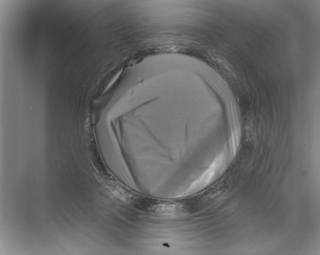 X0000068840314200606021715