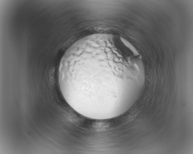 X0000068840319200606021715