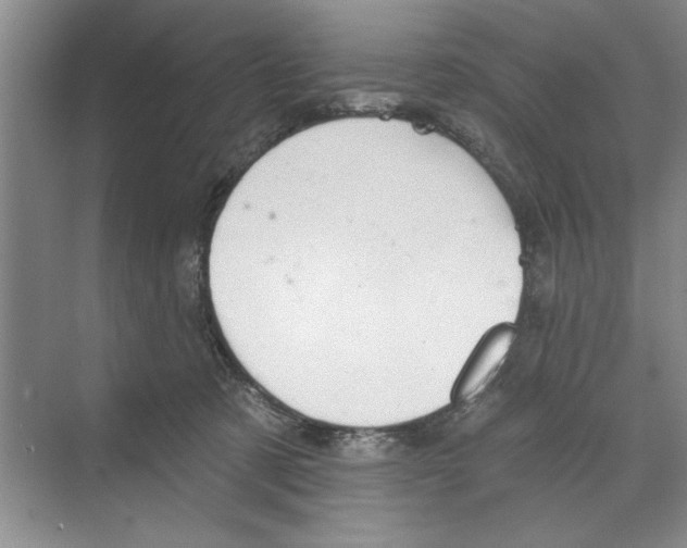 X0000068840321200606021715