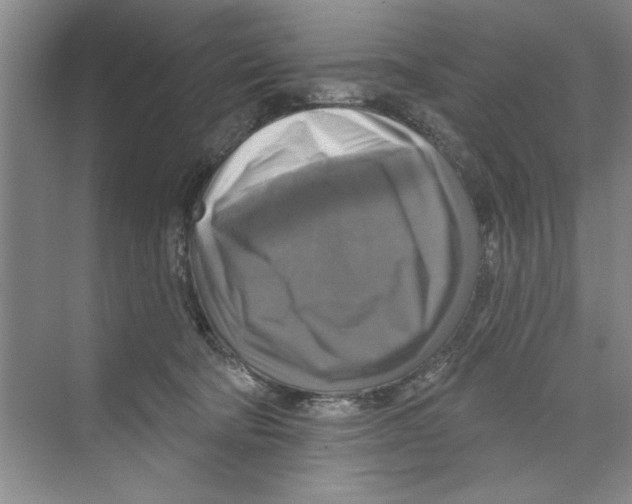 X0000068840322200606021715