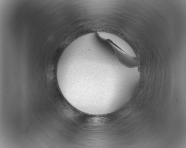 X0000068840323200606021715