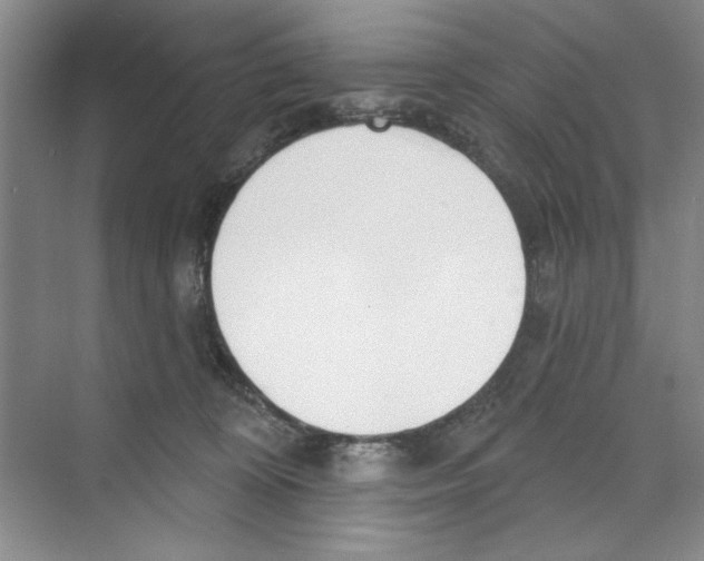 X0000068840324200606021715